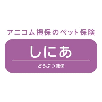 アニコム損保のペット保険 どうぶつ健保しにあ