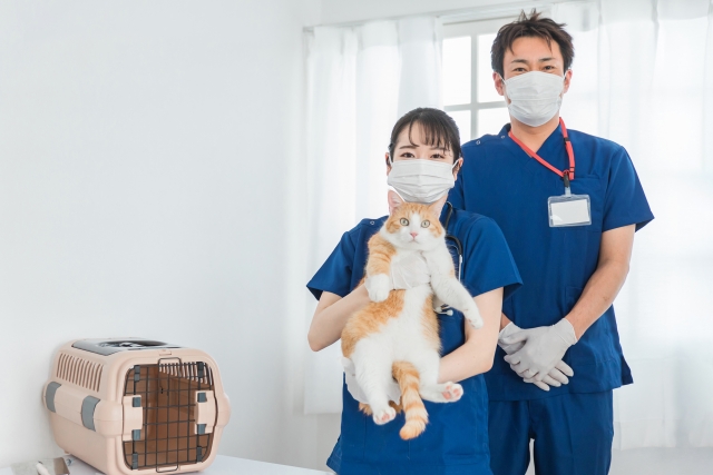 【中古】 ワンちゃんの家庭でできるケガと病気の治し方 治療費の上手な倹約法/誠文堂新光社/愛犬の友編集部 愛犬をケガや病気から守る本 | 株式会社誠文堂新光社