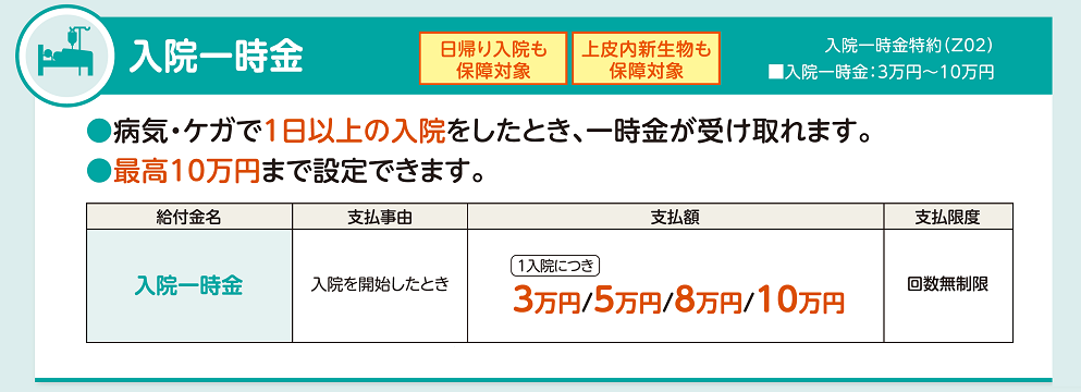 2025新版修复蛇年运势测试风水起名系统源码/八字算命/财运姻缘